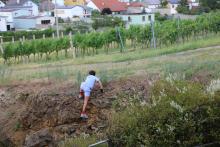 Sommer_2025